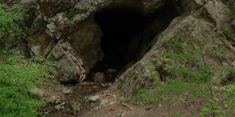 Dam #4 Cave – MD1000